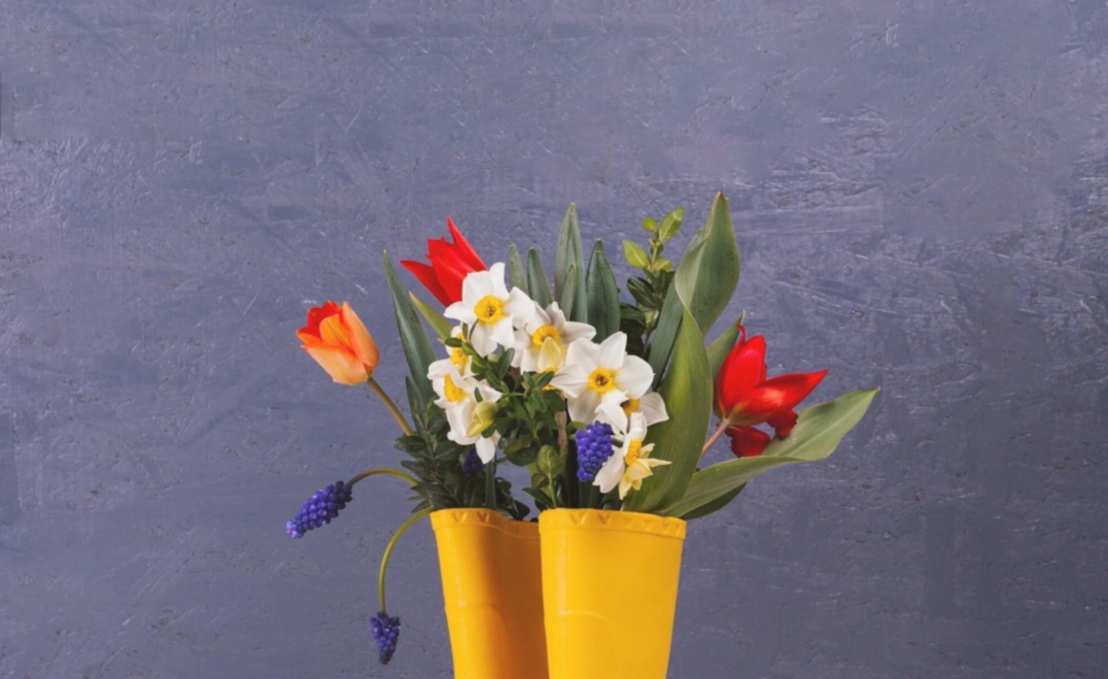 Professional seasonal floral transition